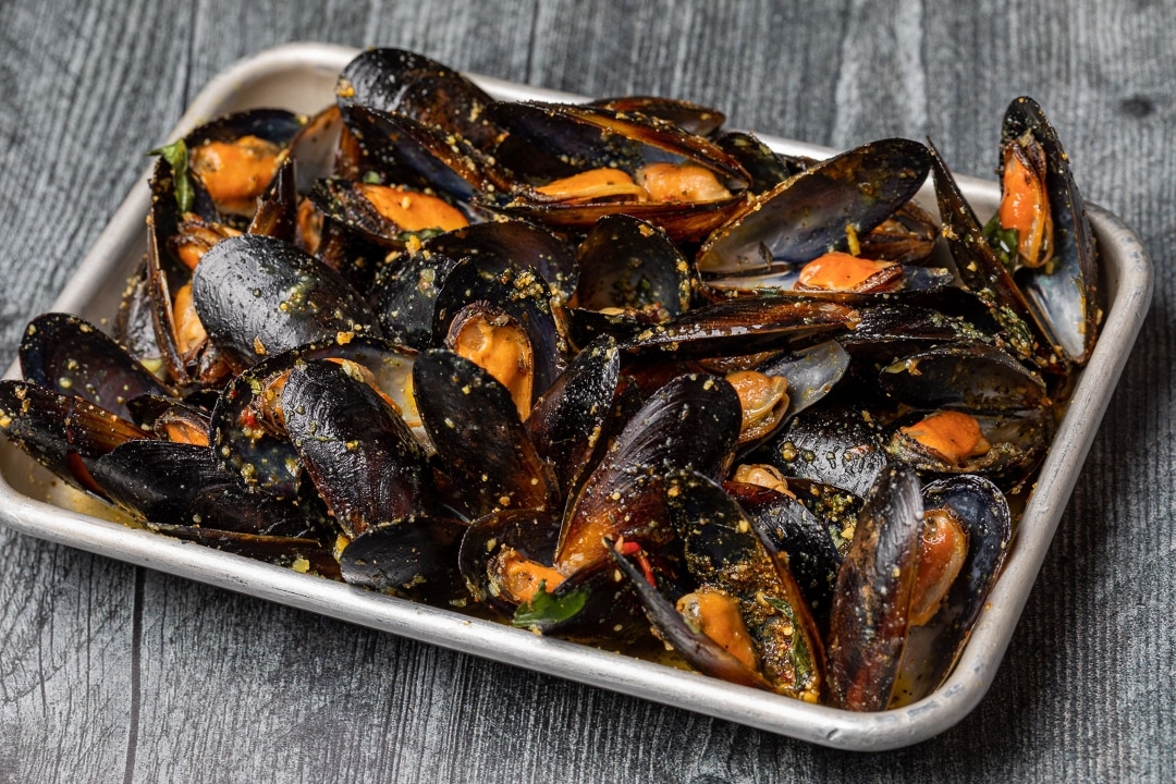 Black Mussels