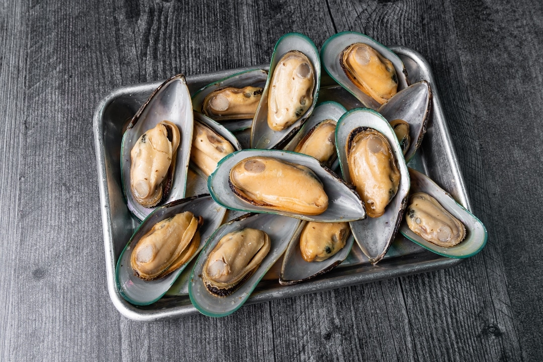 New Zealand Mussels